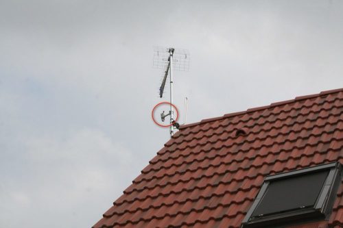IMG_1105 IMG_1105