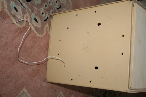 IMG_2310 IMG_2310