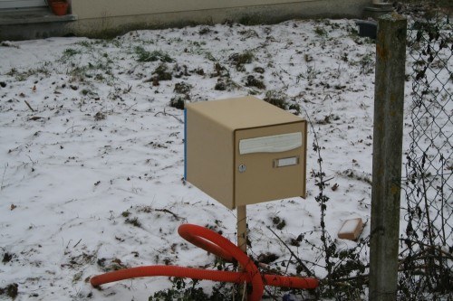 IMG_2313 IMG_2313
