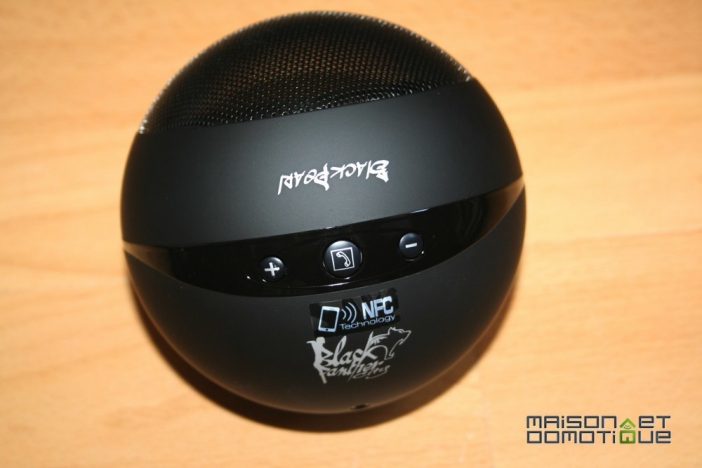 Black_Pearl_13