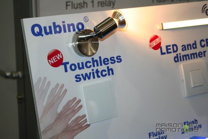 qubino_1