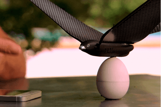 bionic bird avitron