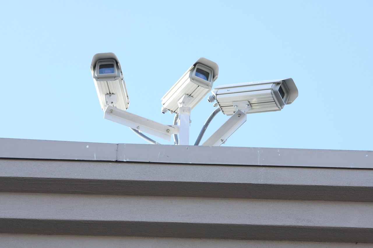 Mini caméra de surveillance extérieur avec enregistrement - La Boutique de  la Domotique