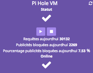 pi hole 11