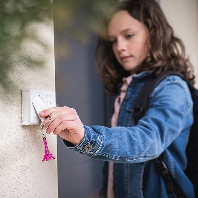 Badges pour Serrure Connectée Somfy