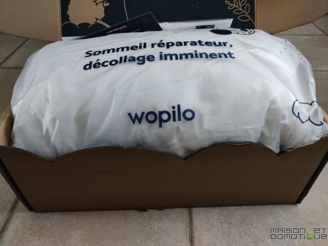 wopilo plus test 2