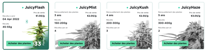 juicyfields plantes
