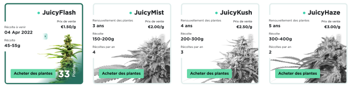 https://www.maison-et-domotique.com/wp-content/uploads/2022/03/juicyfields-plantes-702x178.png