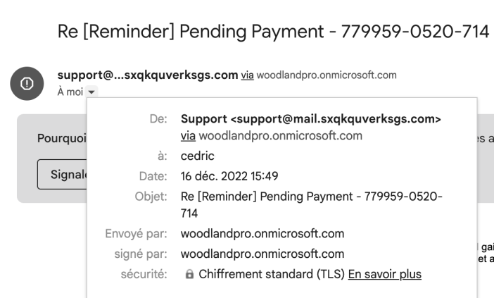 4 types d'attaques par phishing que vous devez éviter 1 emailfraude 1