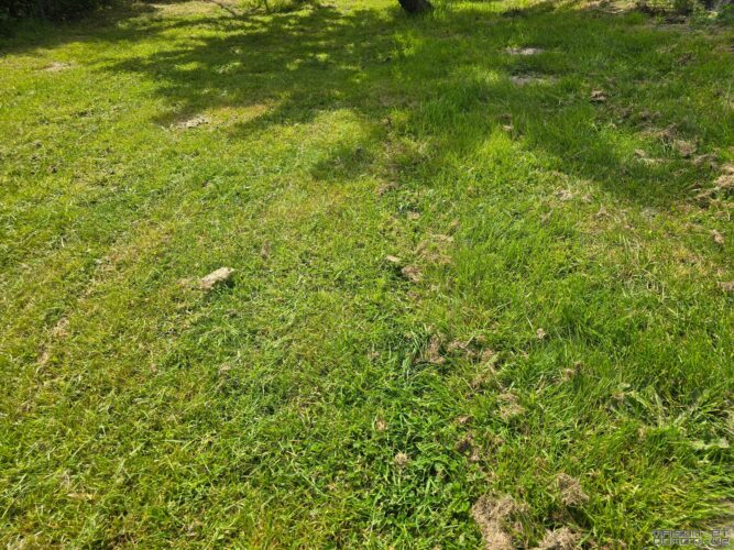 test mammotion yuka mini 47