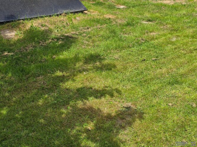 test mammotion yuka mini 50