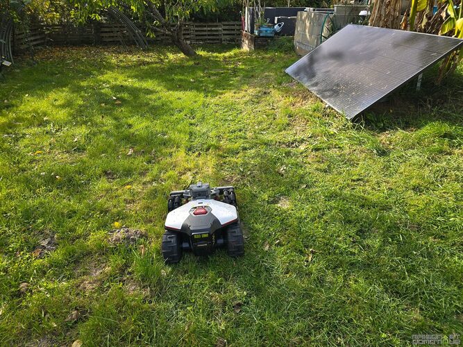 test mammotion luba mini awd 042