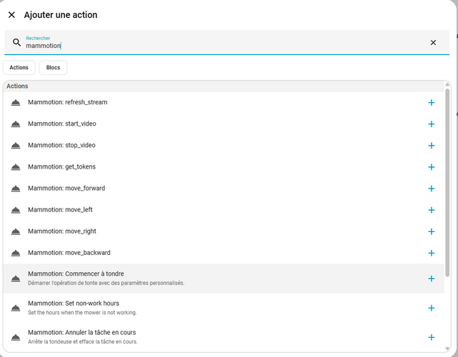 action tonte mammotion home assistant