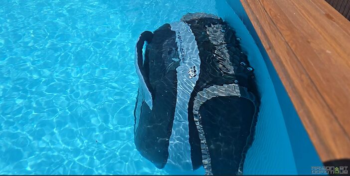Test Dolphin EON 120d : le robot piscine sans fil qui ne laisse rien retomber dans l'eau 22 test dolphin eon 120d s007