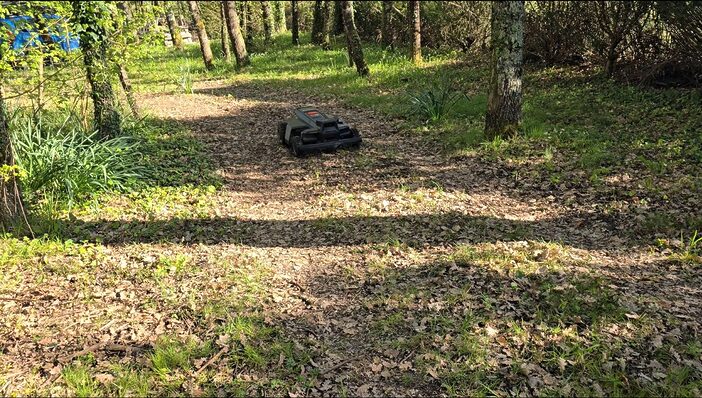 Test Navimow X4: le robot tondeuse premium qui ne craint ni les pentes ni les grands terrains 35 x4 foret