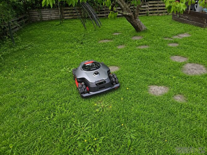 test nexlawn vidar 3000 awd 106