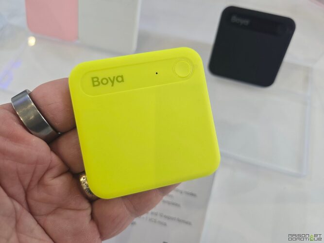 boya ifa 2026 0010