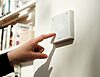 nte wall interaction web hd