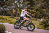 Gogobest GF750 Electric Bike Review: 2000W of Power in a Superb Retro Look!
