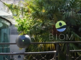 Un Cyborg Vegetal ? Non, ce n&rsquo;est pas Jayce, mais Biom !