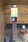 De la domotique aussi chez les poules !