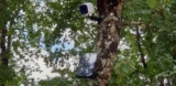 Optimiser la batterie de sa caméra Arlo Go