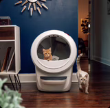 Litter Robot 4: the connected litter box that promises peace… but will your cat agree?