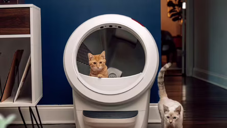 Litter Robot 4 : la litière connectée qui promet la tranquillité… mais votre chat sera-t-il d’accord ?