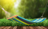 Top 5 des objets connectés pour le jardin !