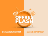 Ventes flash domotique sur le chauffage connecté !