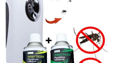 Test Diffuseur Prodifa: fini les moustiques et les mouches dans la maison !