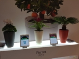 #IFA2016 : Parrot nous dévoile le Pot connecté, version finale