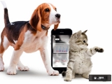 Le capteur d’activité PetBit pour animaux domestiques