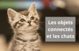 Chats 2.0 : L’ère des objets connectés au service de nos compagnons félins