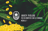 JuicyFields: investir dans le cannabis médical à partir de 50€, avec 40% de rendement ?
