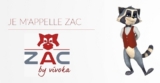 Un hologramme pour piloter votre maison ? Voici Zac !